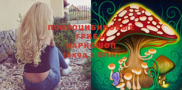 скорость Алексин