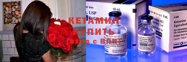 дживик Ельня