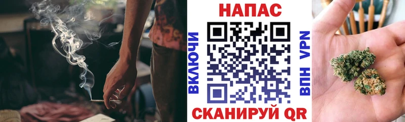 Бошки Шишки MAZAR Андреаполь
